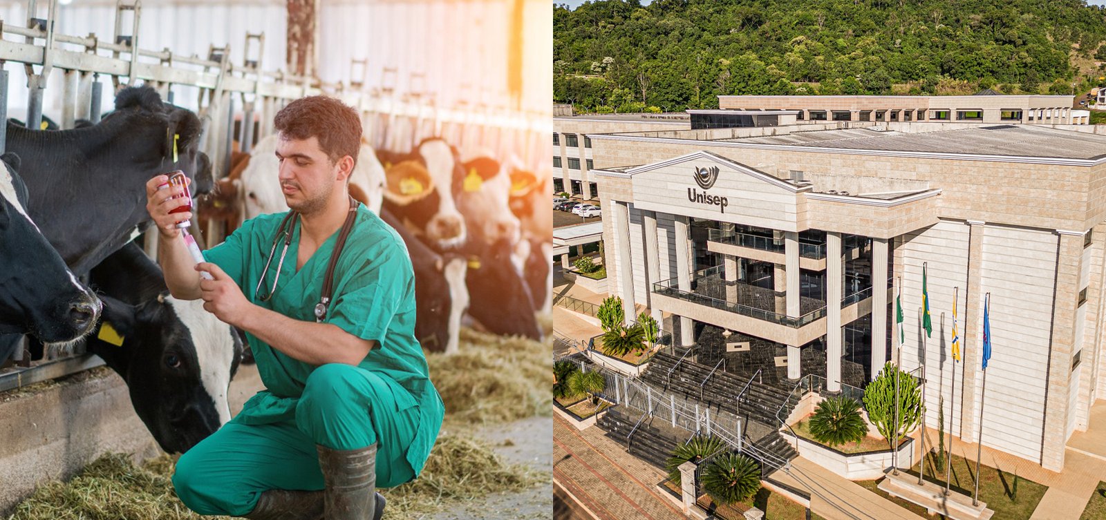 Curso noturno de Medicina Veterinária da Unisep deve impactar meio milhão de pessoas